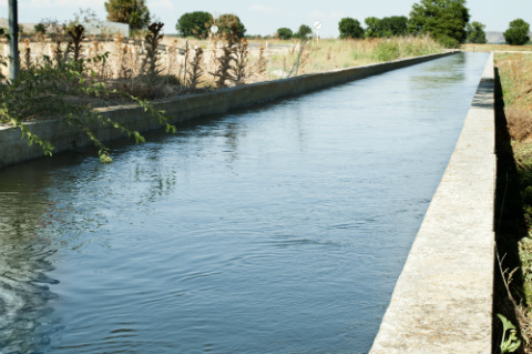 acequia