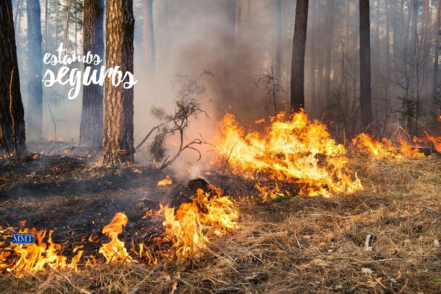 Incendios: ¿Cómo responde un seguro ante el fuego?