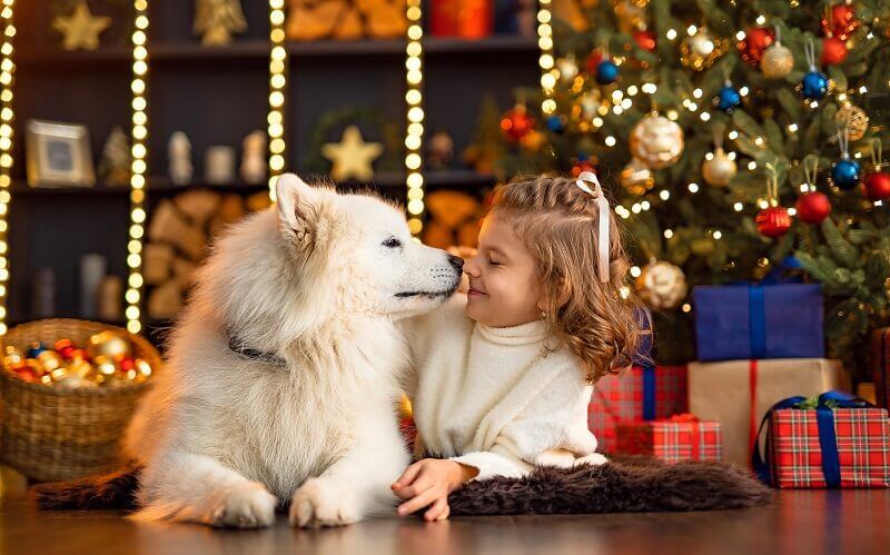 La Navidad y las mascotas: guía para unas fiestas seguras y felices